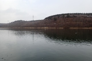 P3151827-2.jpg