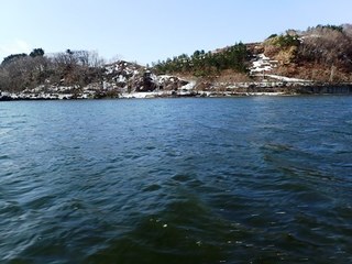 P3190968-2.jpg