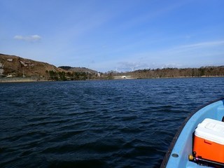 P3190971-2.jpg