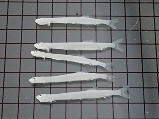 P4231026-3.jpg
