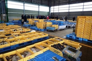 P4301846-2.jpg