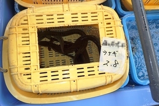 P7162012-3.jpg