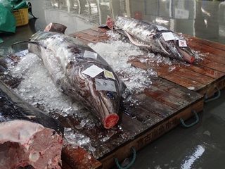 P7261377-2.jpg