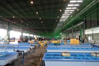 P9271957-2.jpg
