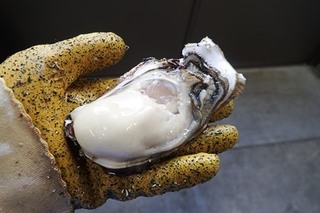 PC041984-2.jpg
