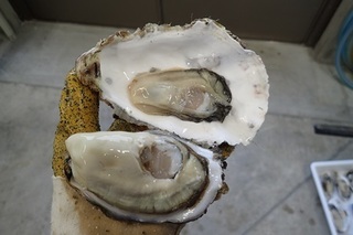 PC041994-2.jpg
