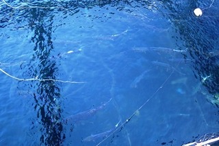 PC271801-2.jpg