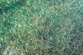PC271824-2.jpg